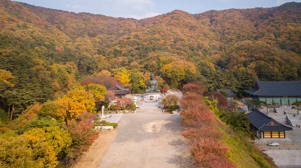 Letecký pohled podzim národního parku, Jižní Korea. — Stock fotografie