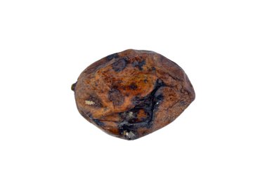 Küf ve bakterili küçük mango meyvesi, bazı mantarların oluşturabileceği yapılardan biridir, mantar ikincil metabolitleri içeren sporların oluşumu, çürüyen çürümüş mango ve solmuş mango.