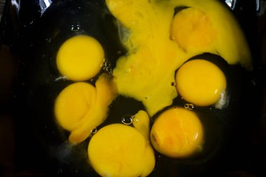 Çiğ yumurta sarısı ve beyaz, yumurta sarısı yumurtanın sarı, yağlı merkezidir, lipid, protein ve besin bakımından zengindir, albumen ise onu çevreleyen protein zengini sıvıdır (yumurta beyazı).