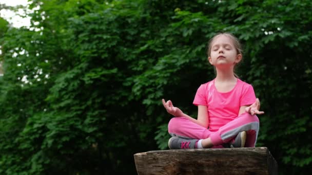 Детская йога в парке. Маленькая девочка в позе йоги закрывает глаза и медитирует. . — стоковое видео
