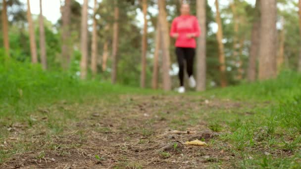 Девушка Спорт Фитнес Бег Трусцой Открытом Воздухе Forest Woman Завязывание — стоковое видео