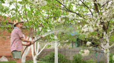 Şapkalı küçük çocuk, bir ağacı hortumla sulıyor.. 