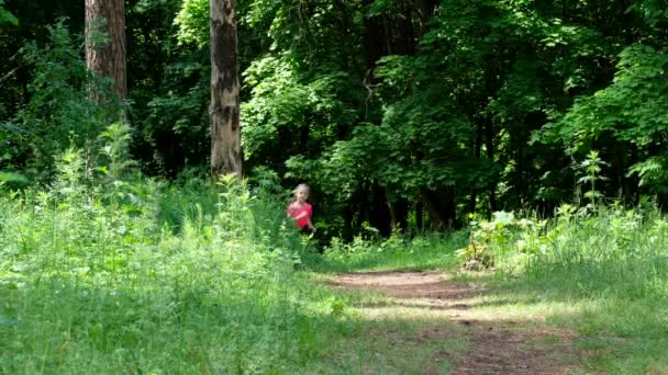 Liten Flicka Som Springer Skogen Barn Som Deltar Idrott — Stockvideo