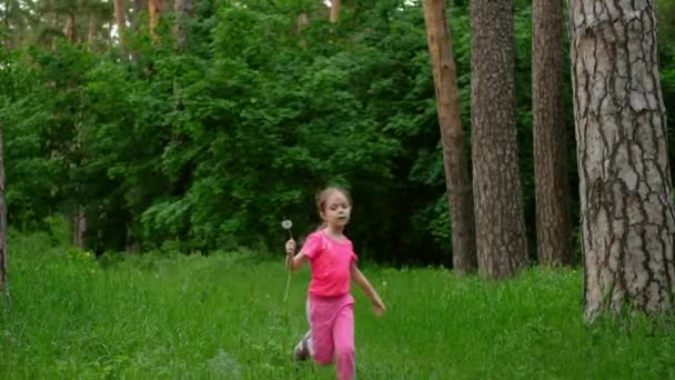 A criança sopra em um dente-de-leão em um prado. Menina na natureza em câmera lenta. — Vídeo de Stock