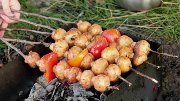 Skewers of mushrooms are baked on the grill. Vegetarian picnic in nature. — Stock Video