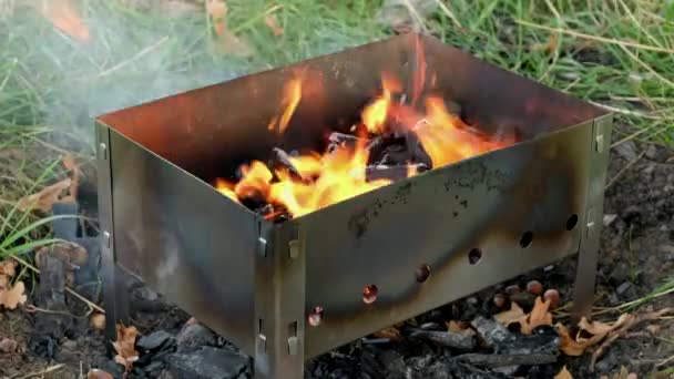 Oheň hoří v grilu. Vaření masa na uhlí. — Stock video