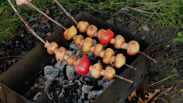 Шашлыки с грибами выпекаются на гриле. Вегетарианский пикник на природе. — стоковое видео