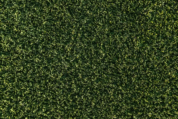 Detailní texturu pozadí umělé zelené trávy — Stock fotografie