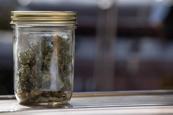 土生土长的大麻芽在玻璃罐户外。大麻花. — 图库照片