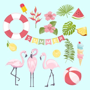 yaz simgeleri seti, dondurma, içecekler, palmiye yaprakları, meyve ve fla