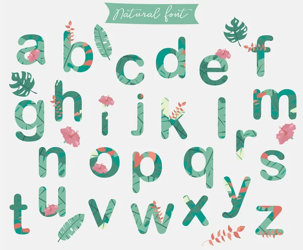 Alphabet Mignon Naturel Avec Palmier Arbre Hibiscus Fleur — Image vectorielle