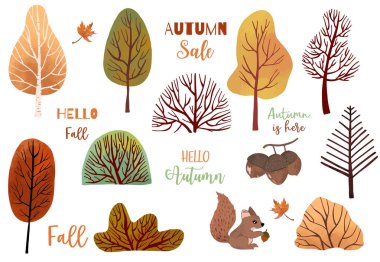 Sonbahar nesnekuru ağaç, sincap, meşe palamudu, yaprakları ile ayarlanır. Illustrati