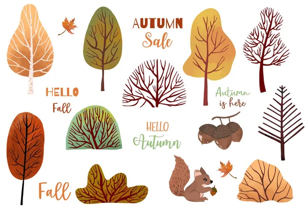 Sonbahar nesnekuru ağaç, sincap, meşe palamudu, yaprakları ile ayarlanır. Illustrati