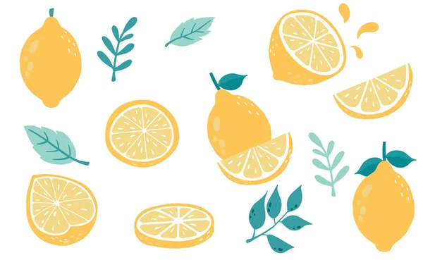 Cute lemon,citrus object collection.Whole, cut in half, sliced o — Stock Vector