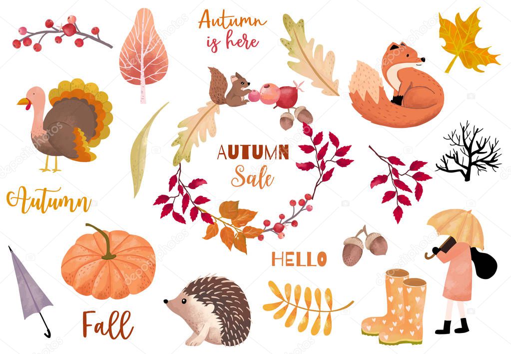 Autumn object collection with pumpkin,fox,turkey,acorn,leaves.Illustration for sticker,postcard,invitation,element website.Included hello fall and autumn is here wording