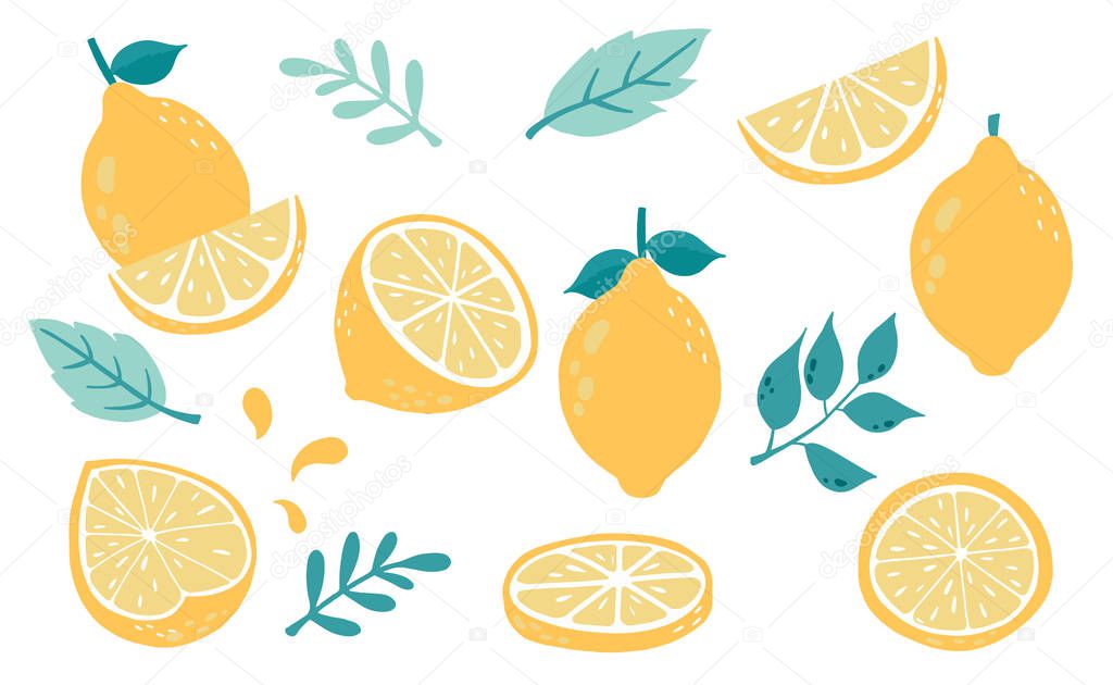Cute lemon,citrus object collection.Whole, cut in half, sliced on pieces lemons. Vector illustration for icon,logo,sticker,printable