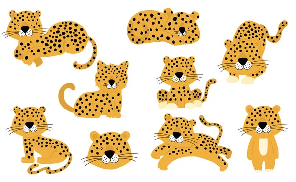 Carino collezione di oggetti animali con leopardo, tigre. illustrazione f — Vettoriale Stock