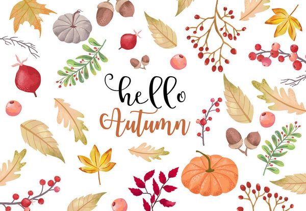 Collection of autumn background set with pumpkin,leaves,flower.E