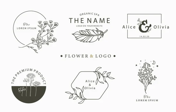 Schönheit Okkulte Logo Kollektion Mit Baum Blume Feder Vektorillustration Für — Stockvektor