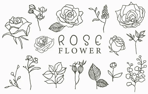 Coleção Logotipo Rosa Preta Com Folhas Ilustração Vetorial Para Ícone — Vetor de Stock