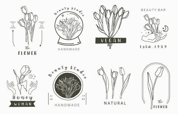 Coleção Logotipo Oculto Beleza Com Tulipa Flor Folho Vector Ilustração — Vetor de Stock