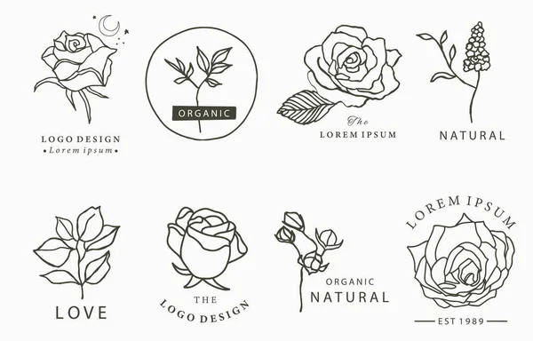 Gül Çiçek Yaprak Ile Güzellik Okült Logo Koleksiyonu Simge Logo — Stok Vektör