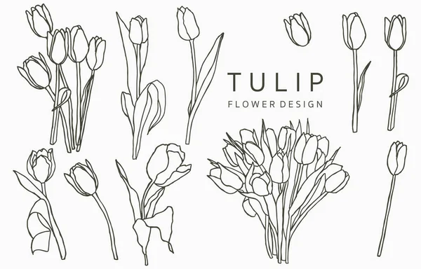 Zwarte Tulp Logo Collectie Met Bladeren Geometric Vector Illustratie Voor — Stockvector