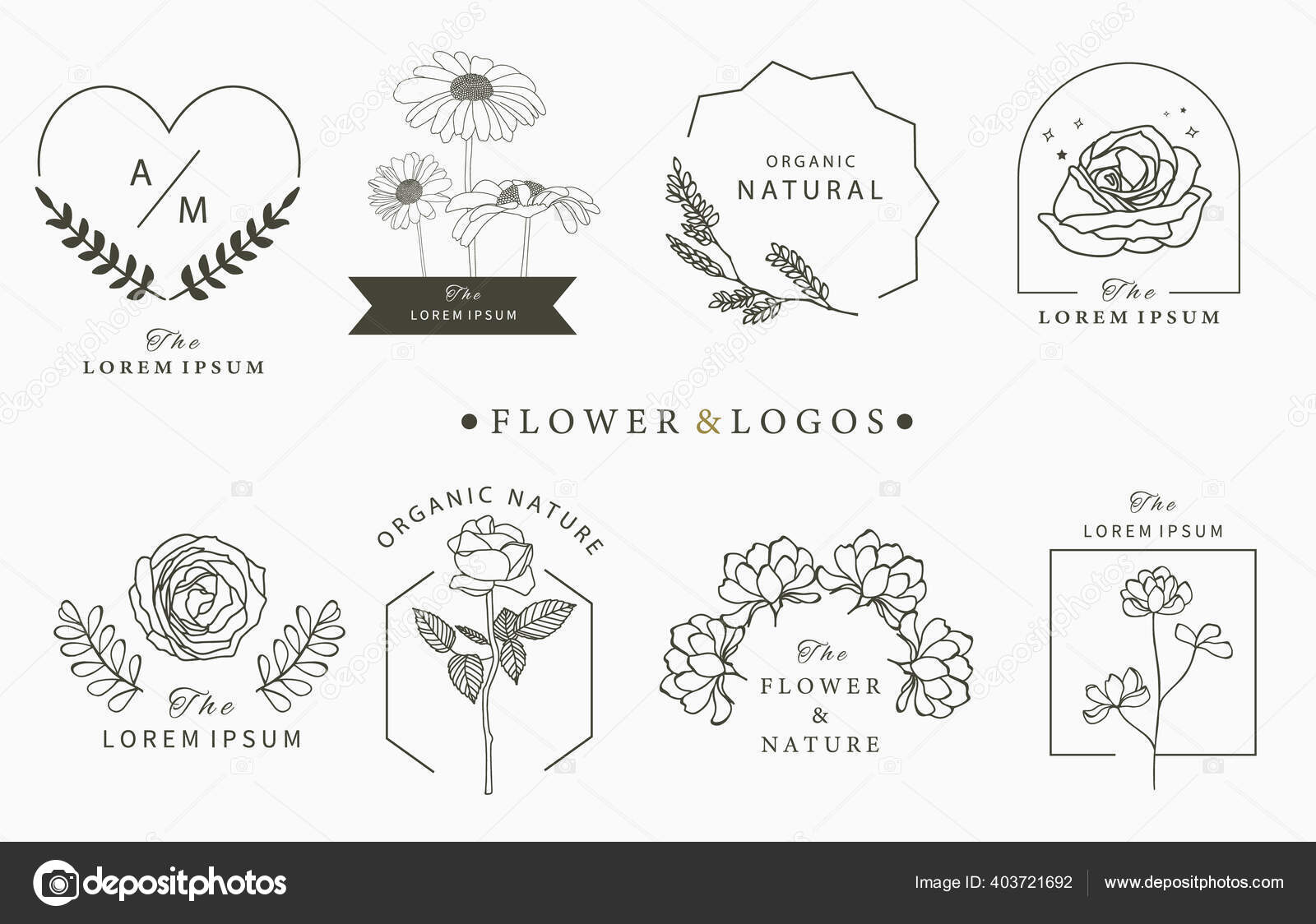 毁誉参半的乌龟纹身_搜狐网, image size:1600x1124