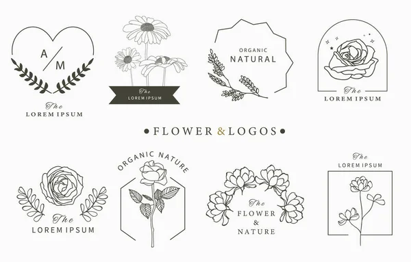 Beauty Occult Logo Collection Geometric Rose Moon Star Flower Vector — Stock Vector