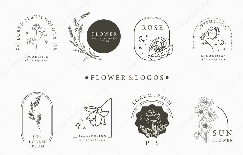 Beauty occult logo collection with geometric,rose,moon,star,flower.Vector illustration for icon,logo,sticker,printable and tattoo