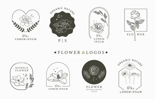 Schönheit Okkulte Logo Kollektion Mit Geometrischen Rosa Mond Stern Blume — Stockvektor