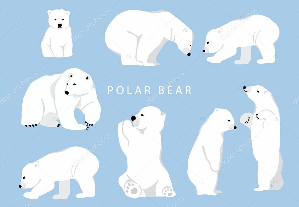 Simple white bear character.Vector illustration character doodle cartoon