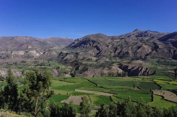 Panorama Canyon Colca Pérou Amérique Sud Incas Pour Construire Des — Photo