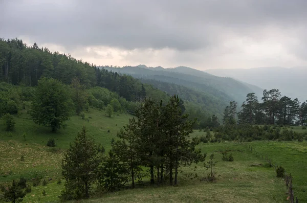 Nízké Mraky Nad Les Horské Oblasti Zlatibor Srbsko — Stock fotografie