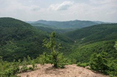 Radan dağ massif, kaya oluşumu Djavolja Varos (Devil's town) Güney Sırbistan'daki yakınındaki tepelerde ile manzara.