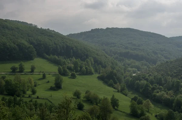Низькі Хмари Над Лісу Районі Гори Златибор Сербія — стокове фото