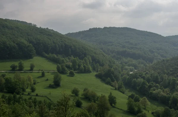 Nízké Mraky Nad Les Horské Oblasti Zlatibor Srbsko — Stock fotografie