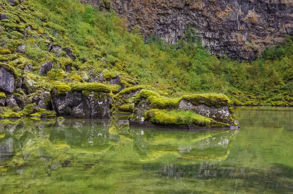 Відображення Озеро Asbyrgi Каньйон Національному Парку Jokulsargljufur Ісландія — стокове фото