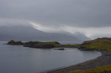 Reydarfjordur, en büyük fiyort Panoraması. Doğu İzlanda.