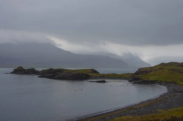 Панорама Reydarfjordur Найбільший Фіорд Східної Ісландії — стокове фото