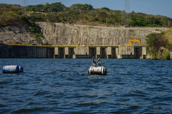 Pelikan Sumidero Kanyon Güney Meksika'daki Chiapas durumda sonunda Chicoasen hidroelektrik Reservoir