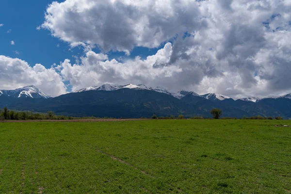 Louka s panoramatem Pirin v horách nedaleko Banska, Bulharsko — Stock fotografie