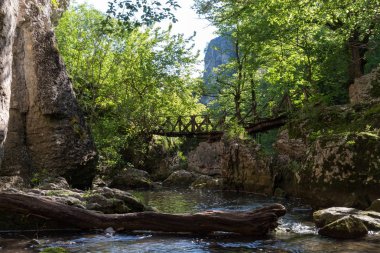 Bulgaristan'ın Veliko Tarnovo eyaletinde Emen kanyonld ahşap köprü