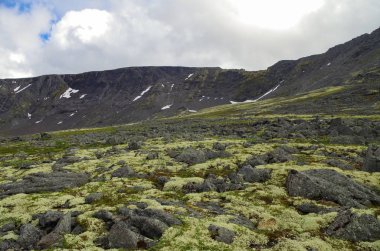 Dağ tundra yosun ve likenler, Kuzey Kutup dairesi, Kola Yarımadası, Rusya yukarıda Hibiny Dağları ile kaplı kaya