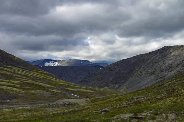 Mountain tundra with mosses and rocks covered with lichens, Hibiny mountains above the Arctic circle, Kola peninsula, Russia