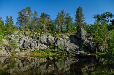 Ağaç ve taş yansıma küçük göl dağ Vottovaara, Karelya, Rusya Federasyonu