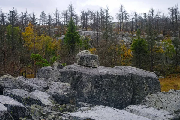 Sziklák és kis mocsár a Vottovaara-hegy tetején kövekkel és halott fákkal, Karelia, Oroszország — Stock Fotó