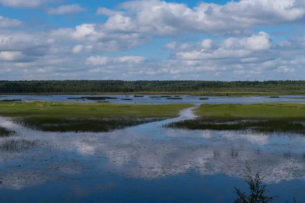 Okhotnichye 湖中的云层反射 俄罗斯列宁格勒地区 Rakovyye Ozera 螃蟹湖 自然保护区生态路线 — 图库照片