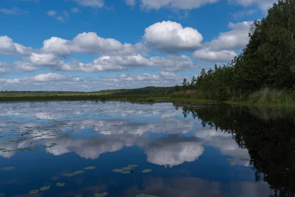 Riflessione Nuvola Okhotnichye Cacciatori Lago Itinerario Ecologico Nella Riserva Naturale — Foto Stock