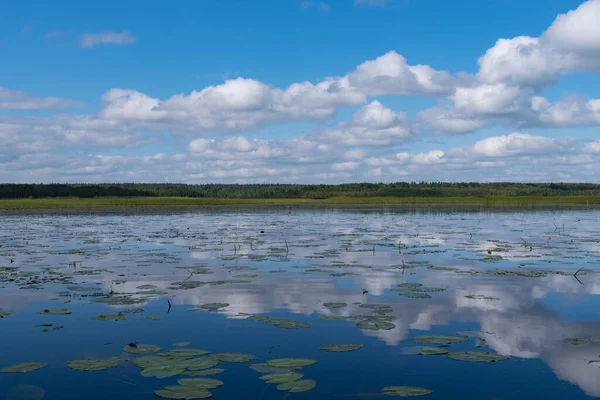 Wolkenreflectie Okhotnichye Jagers Lake Eco Route Het Natuurreservaat Rakovyye Ozera — Stockfoto